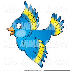 Blue Bird Pictures Clipart Image