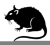 Free Clipart Rat Image