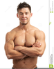 Muscle Studs Clipart Image