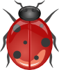 Ladybug 6 Clip Art
