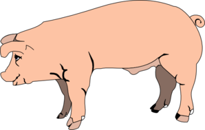 Pig Standing Clip Art