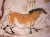 Horse Image