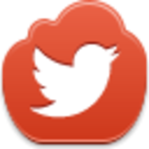 Twitter Bird Icon Image