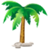 Palm Icon Image