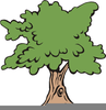 Acorn Tree Clipart Image