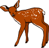 Fawn Clip Art