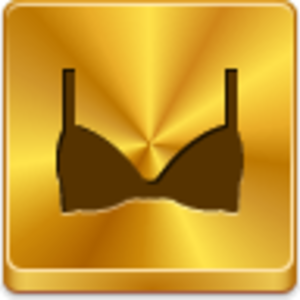 Bra Icon Image