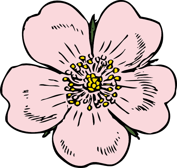 Wild Rose Bloom Clip Art At Clkercom Vector Online Royalty.