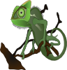 Chameleon Clip Art