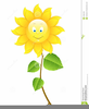 Free Clipart Of Sunflower Image