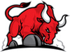 Ist Bull Mascot Image