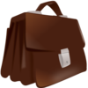 Case Icon 1 Image