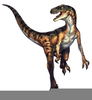 Velociraptor Clipart Image