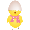 Chicken Egg Shell Top Icon Image