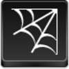 Spider Web Icon Image