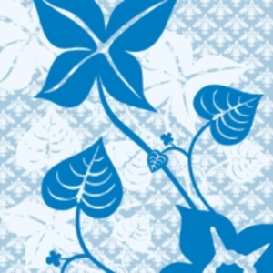 195 Image