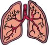 Lung Image