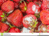 Spoiled Strawberries Image