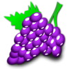 Nicubunu Grapes Image