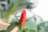 Img Clip Art