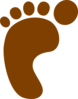 Brown Foot Clip Art