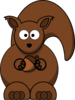 Squirrel With Nut Clip Art