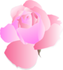 Pink Rose Clip Art