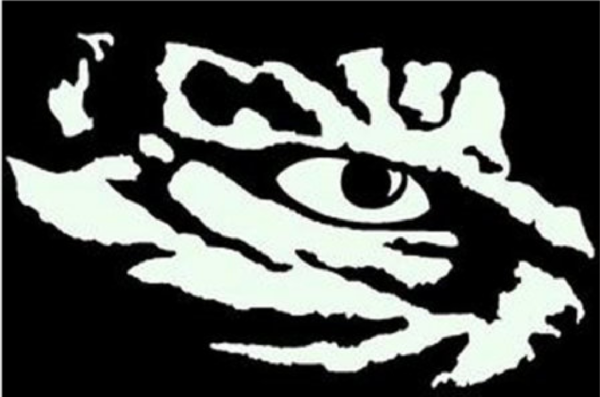Tiger Eye Stencil Clip Art at Clker.com - vector clip art online