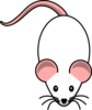White With Pink Ears Clip Art