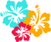 Hibiscus 30 Clip Art