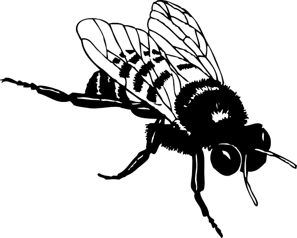 Bumble Bee Clip Art at Clker.com - vector clip art online, royalty free