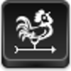 Weathercock Icon Image