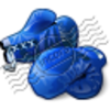 Boxing Gloves Blue 2 Image