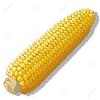 Corn Shock Clipart Image
