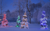 Snowy Christmas Night Image