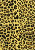 Jaguar Pattern Clipart Image