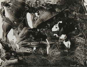 Surrealism Max Ernst Image