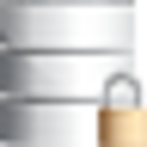Database Lock 5 Image