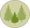 Three Pine Trees Clip Art