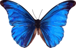 Free Free Blue Butterfly Svg Free 130 SVG PNG EPS DXF File