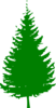 Pine Tree Green Clip Art