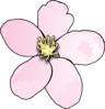 Pink Apple Blossom Clip Art
