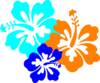 Hibiscus Flowers 2 Clip Art