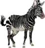 Zebra 3 Clip Art