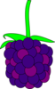 Blackberry Clip Art