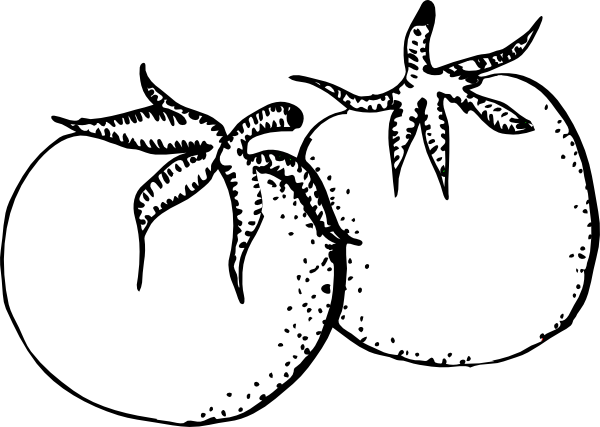 Tomatoes Black And White Clip Art at Clker.com - vector clip art online