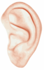 Left Ear Image Clip Art