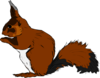 Squirrel Clip Art