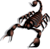 Scorpion Clip Art