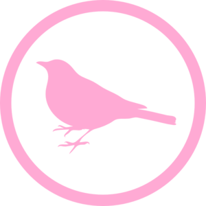 Pink Early Bird Clip Art